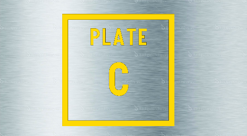 10'' PLATE C